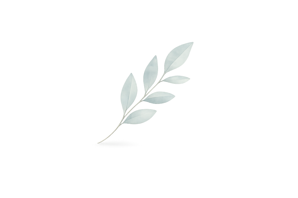 Brindille délicate sur fond transparent